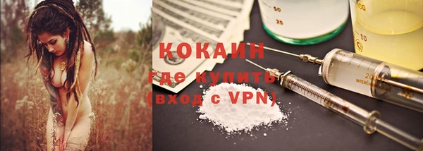 шишки Аркадак