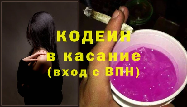 шишки Аркадак