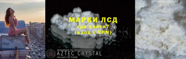 шишки Аркадак