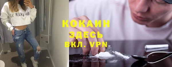 шишки Аркадак