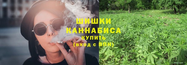 шишки Аркадак