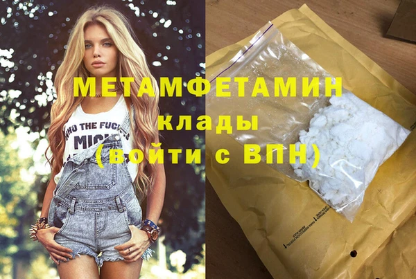 шишки Аркадак
