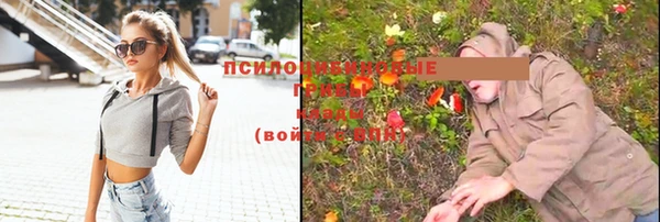 ПСИЛОЦИБИНОВЫЕ ГРИБЫ Армянск