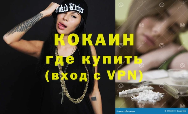 дживик Арсеньев