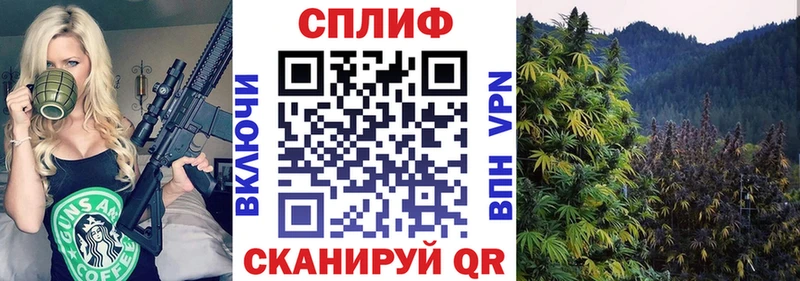 Шишки марихуана THC 21% закладка Верхнеуральск